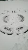 Snow Angel